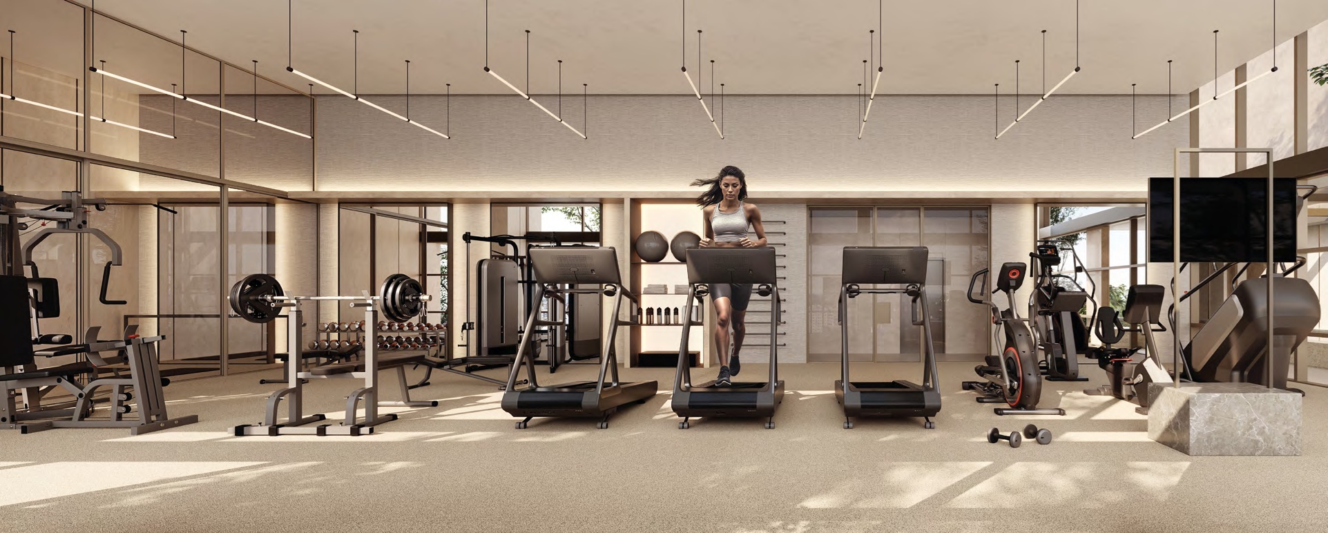 Fitness