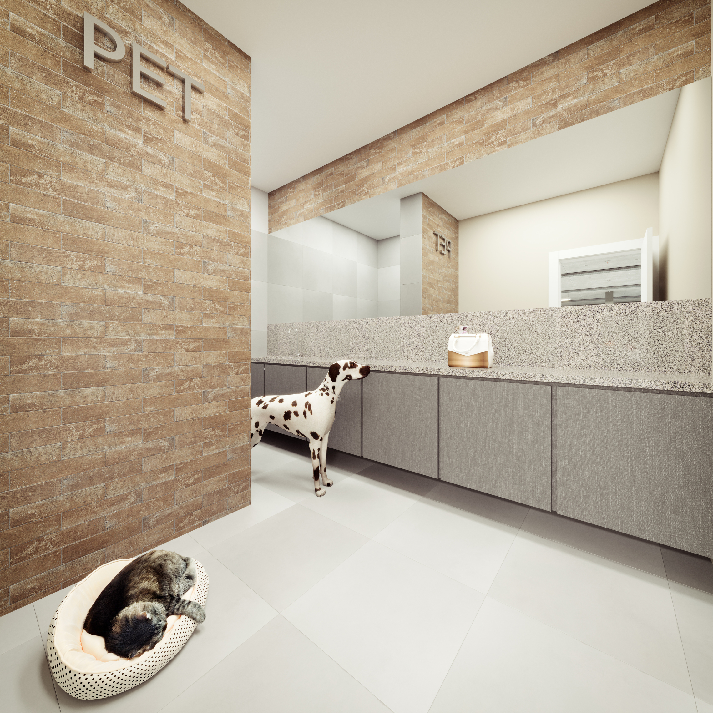 PET Space
